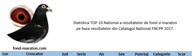 Statistica si scor TOP 10 National FNCPR 2017