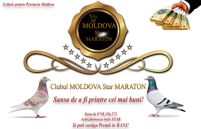 Clubul Moldova Star MARATON da startul comenzilor pentru inele STAR 2018